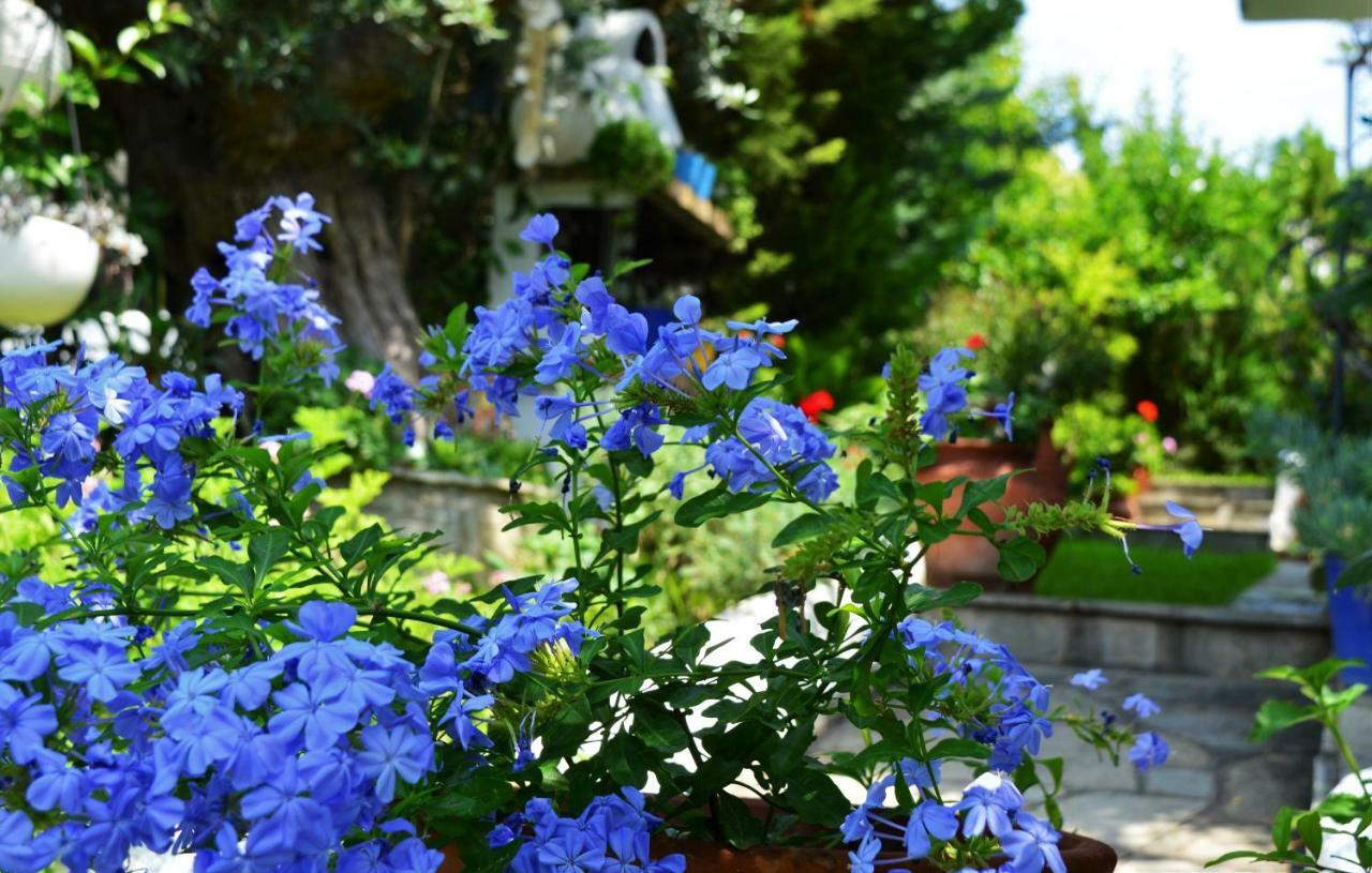 Sonia'S House With Garden Villa Gerakini Buitenkant foto